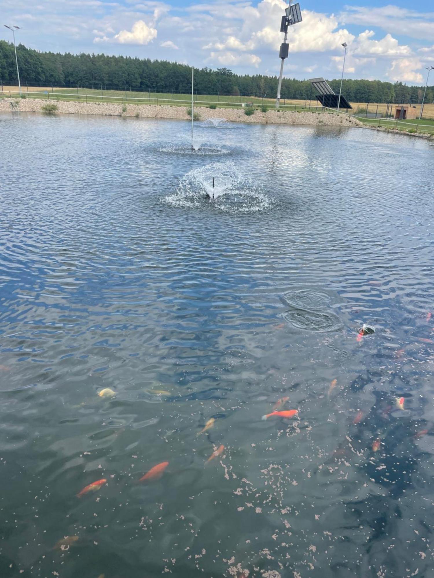 Agroturystyka Ranczo Gosciszow Nowogrodziec Buitenkant foto